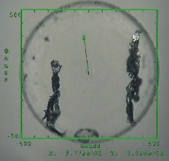 microscope image of micro-compass